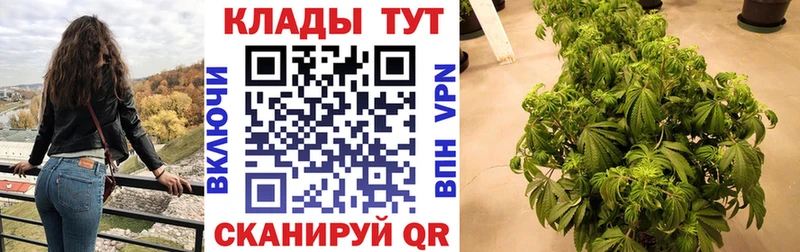 Магазины продажи наркотиков Волосово Кокаин  Меф  гидра сайт  Гашиш 
