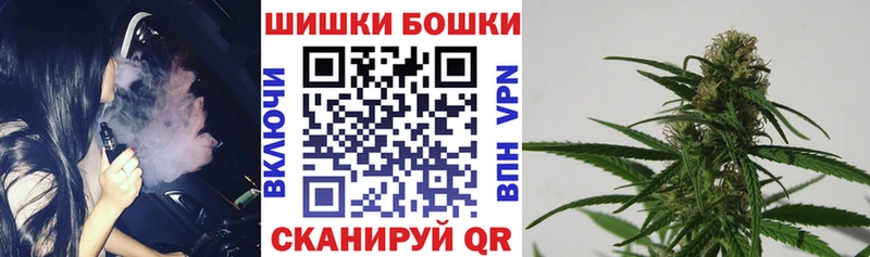 купить наркотик  Волосово  даркнет наркотические препараты  Конопля Ganja 